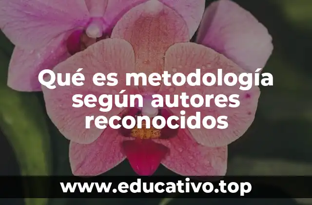 Qué es metodología según autores reconocidos