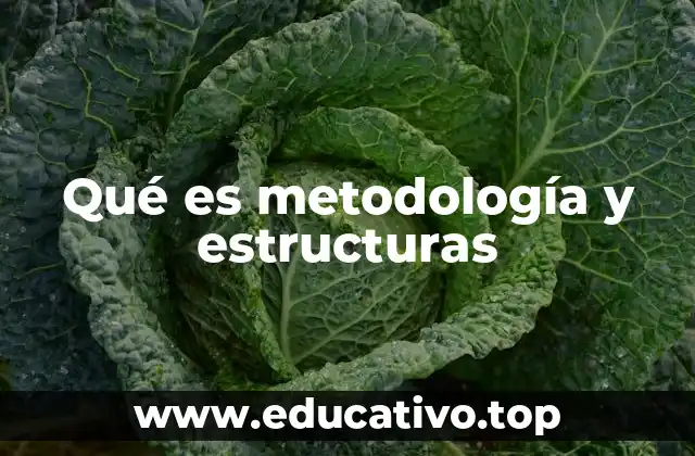 Qué es metodología y estructuras