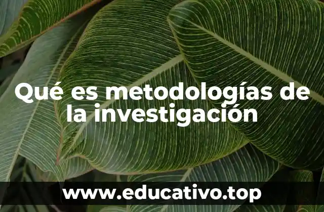 Qué es metodologías de la investigación