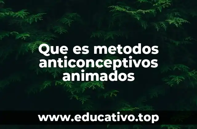 Que es metodos anticonceptivos animados