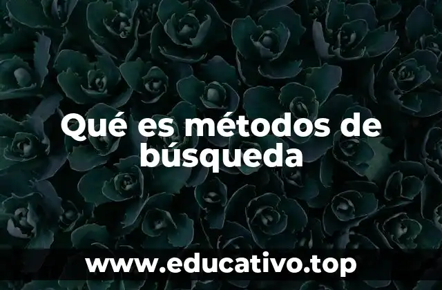 Qué es métodos de búsqueda