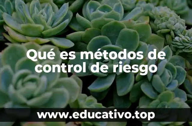 Qué es métodos de control de riesgo