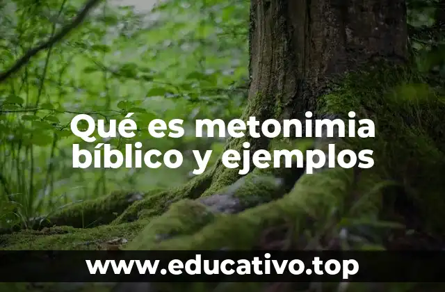 Qué es metonimia bíblico y ejemplos
