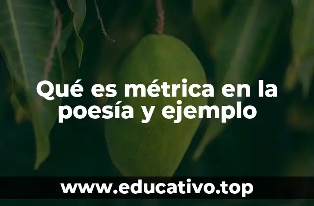 Qué es métrica en la poesía y ejemplo