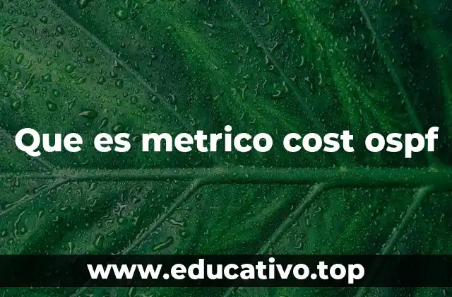 Que es metrico cost ospf