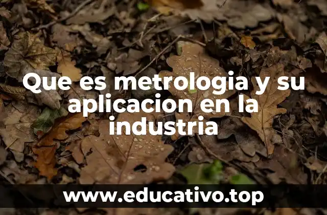 Que es metrologia y su aplicacion en la industria