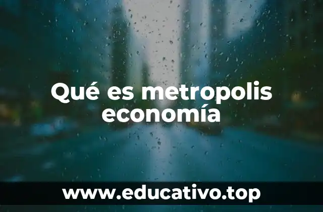 Qué es metropolis economía