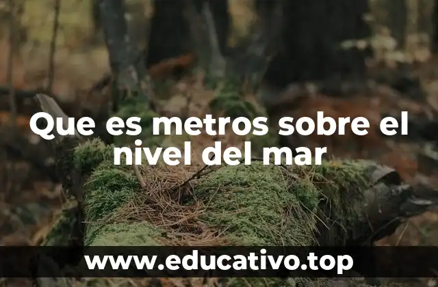 Que es metros sobre el nivel del mar