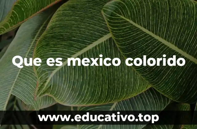 Que es mexico colorido