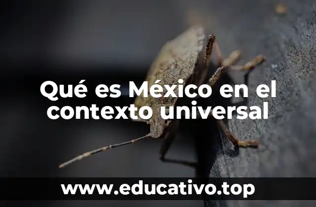Qué es México en el contexto universal