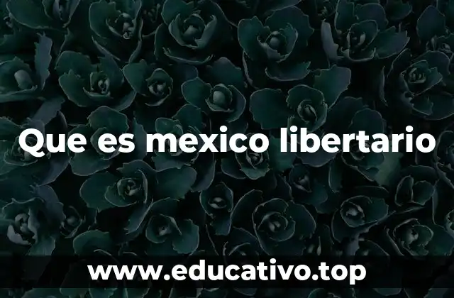 Que es mexico libertario