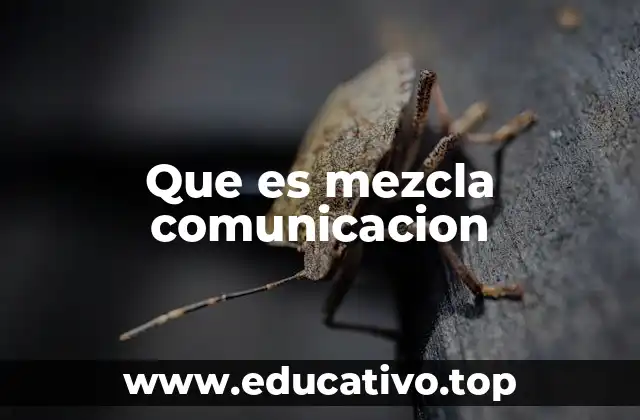 La importancia de una estrategia integrada de comunicación