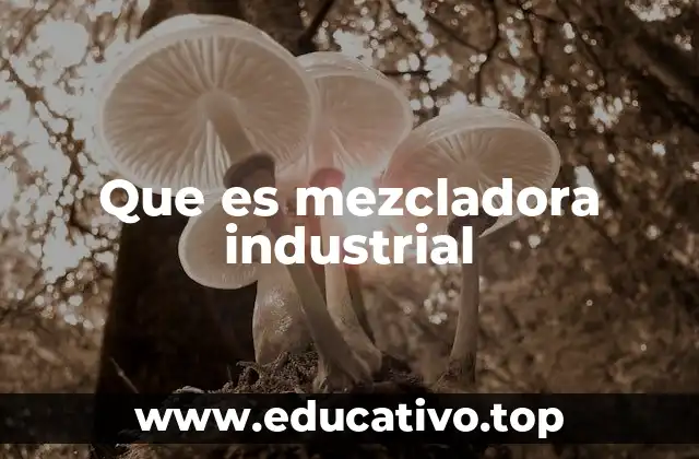 Que es mezcladora industrial