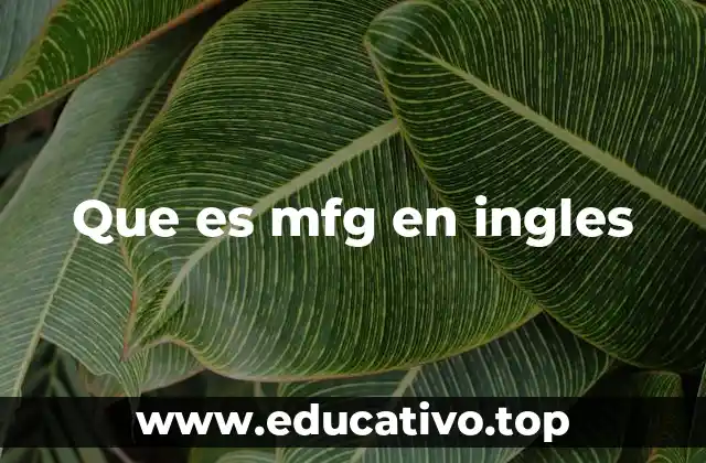 Que es mfg en ingles