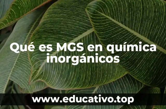 Qué es MGS en química inorgánicos