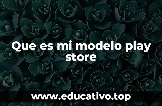 Que es mi modelo play store