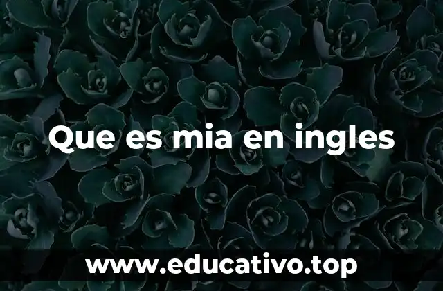 Que es mia en ingles