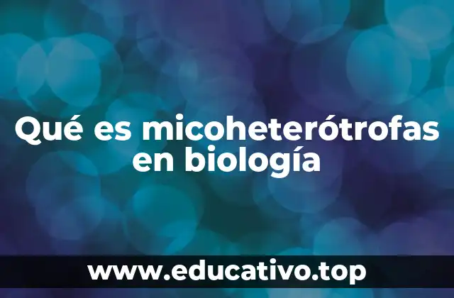 Qué es micoheterótrofas en biología