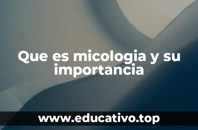 El papel de los hongos en los ecosistemas