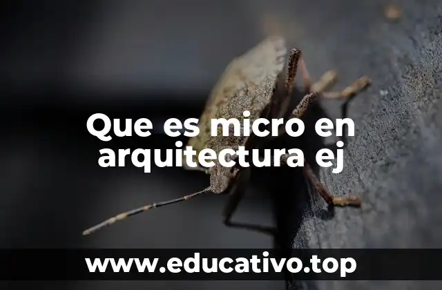 Que es micro en arquitectura ej