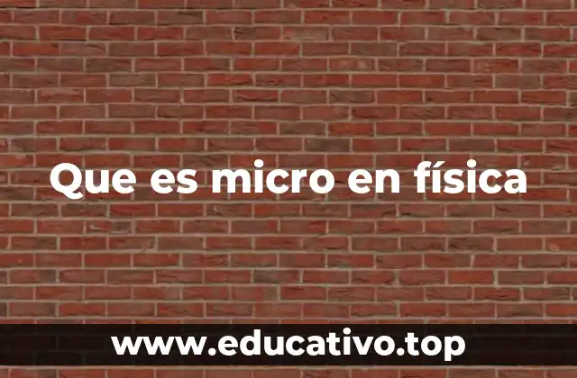 Que es micro en física