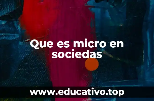 Que es micro en sociedas