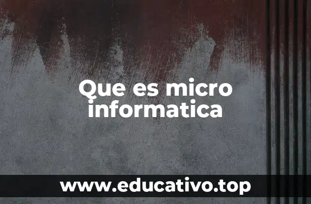 Que es micro informatica