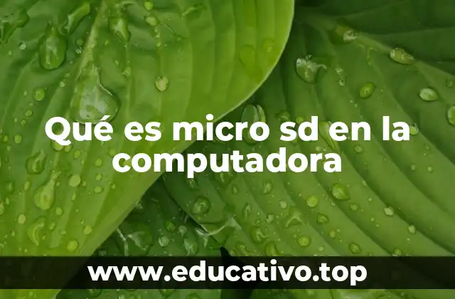 Qué es micro sd en la computadora