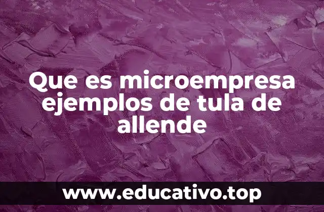 Que es microempresa ejemplos de tula de allende