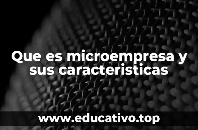Que es microempresa y sus caracteristicas