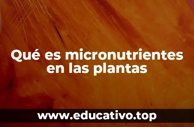 El papel de los micronutrientes en la nutrición vegetal