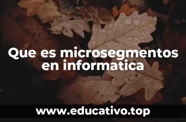 Que es microsegmentos en informatica