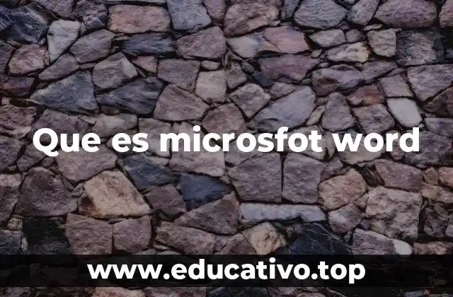 Que es microsfot word