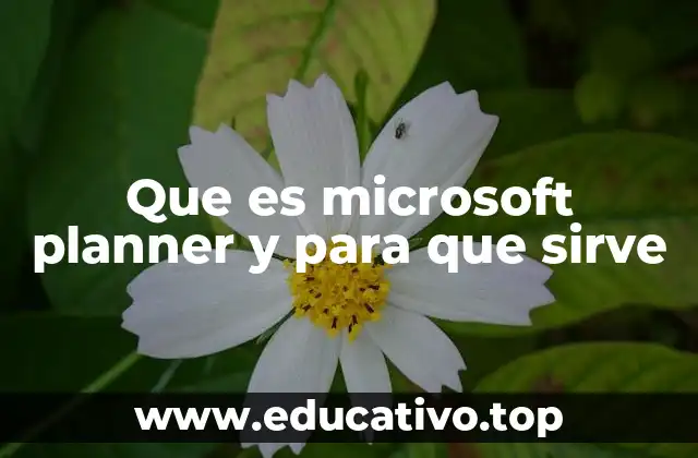 Que es microsoft planner y para que sirve
