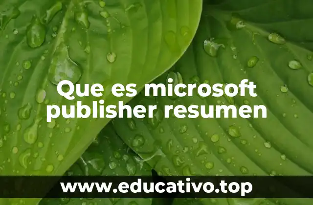 Que es microsoft publisher resumen