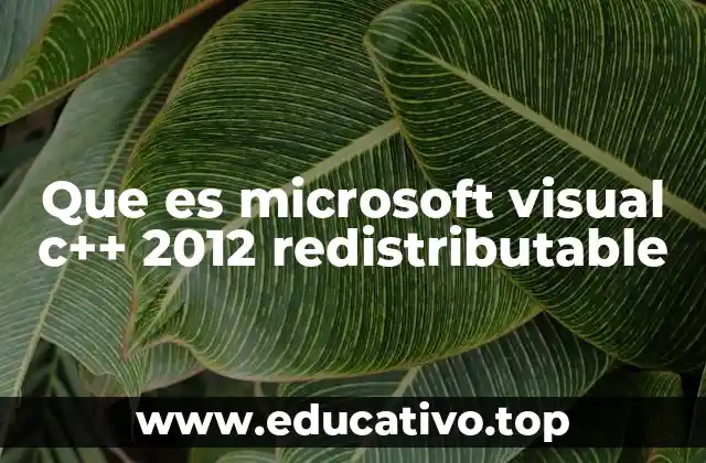 Que es microsoft visual c++ 2012 redistributable