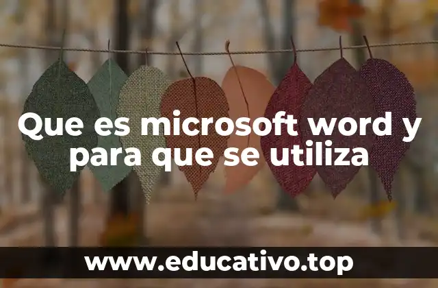 Que es microsoft word y para que se utiliza