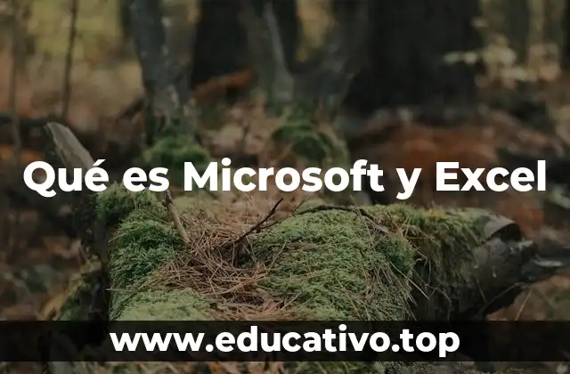 Qué es Microsoft y Excel