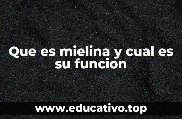 Que es mielina y cual es su funcion