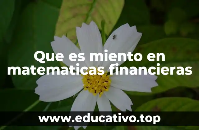 Que es miento en matematicas financieras