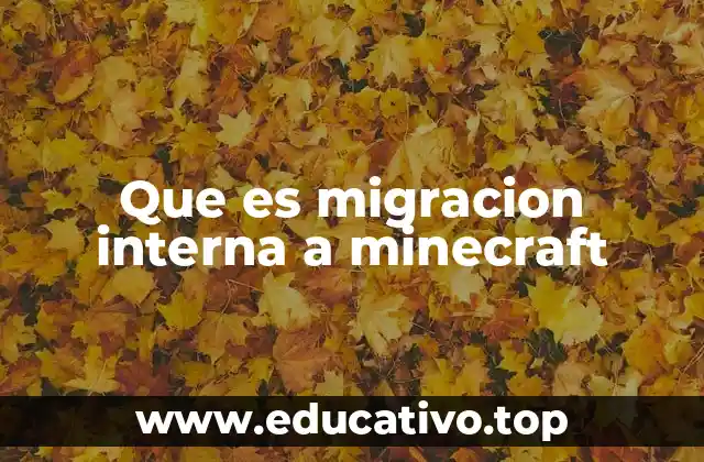 Que es migracion interna a minecraft