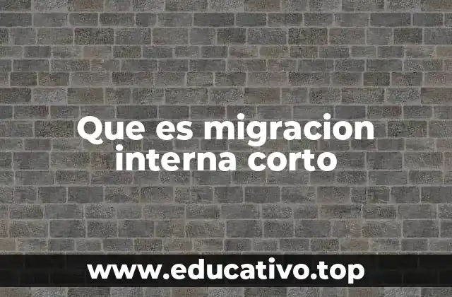 Que es migracion interna corto