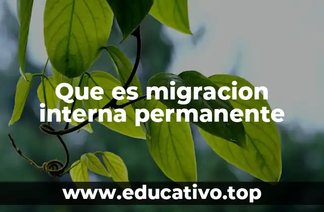 Que es migracion interna permanente