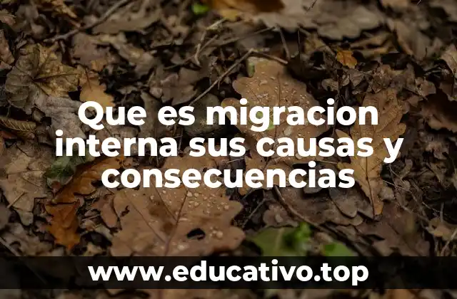 Que es migracion interna sus causas y consecuencias