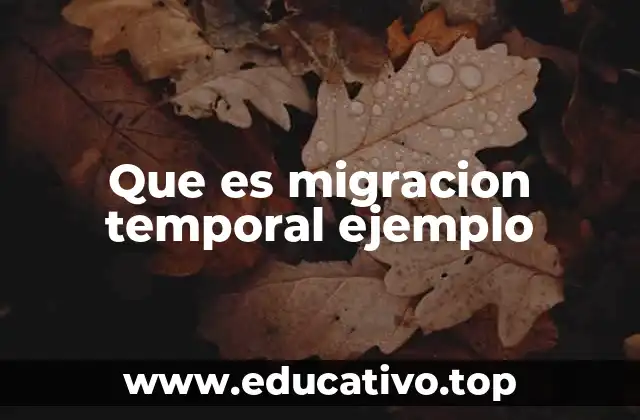Que es migracion temporal ejemplo