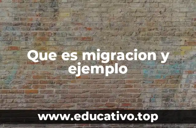 Que es migracion y ejemplo