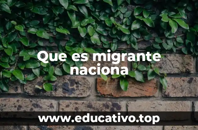 Que es migrante naciona