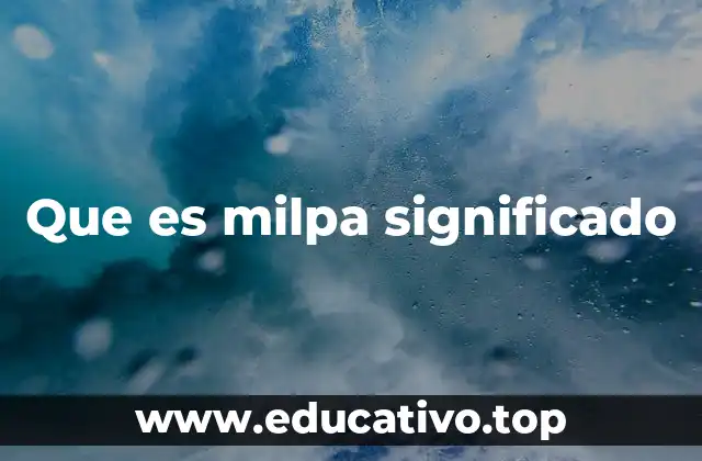 Que es milpa significado