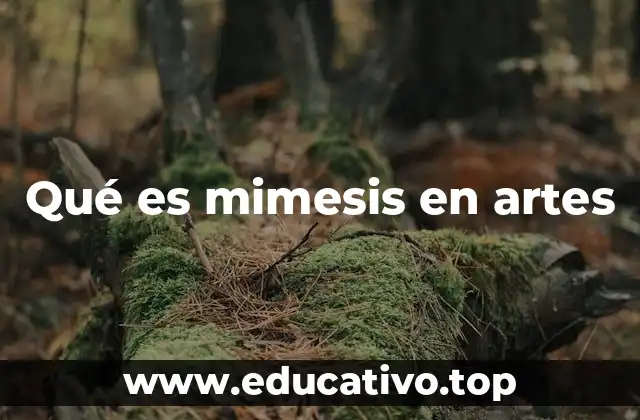 Qué es mimesis en artes