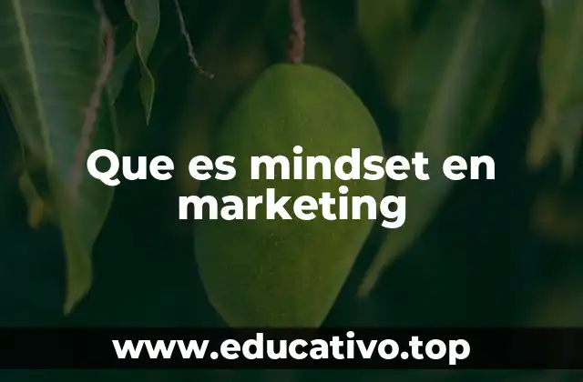 Que es mindset en marketing